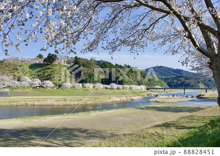 整備の済んだ春の月山富田城下を流れる飯梨川 88828451