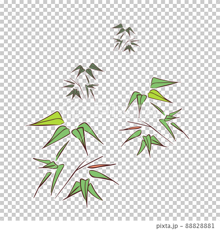 青竹草套 青竹草套 88828881