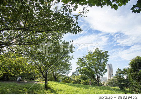 西郷山公園 東京都目黒区青葉台 西郷山公園 東京都目黒区青葉台 88829455