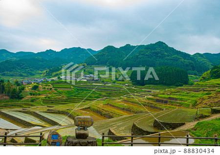 田植えの季節を迎えた鬼木の棚田 田植えの季節を迎えた鬼木の棚田 88830434