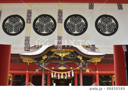 愛知県岡崎市　六所神社　徳川家紋 88830589