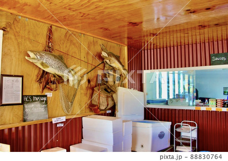 ニュージーランド のサーモンファームツアー　High Country Salmon Farm 88830764