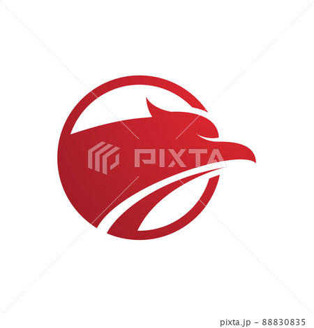Falcon eagle bird Falcon eagle bird 88830835