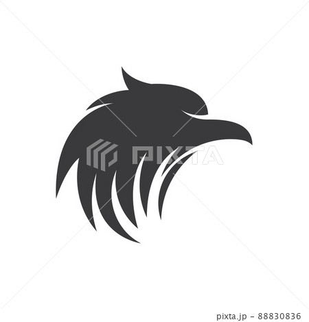 Falcon eagle bird Falcon eagle bird 88830836