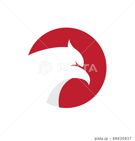 Falcon eagle bird Falcon eagle bird 88830837