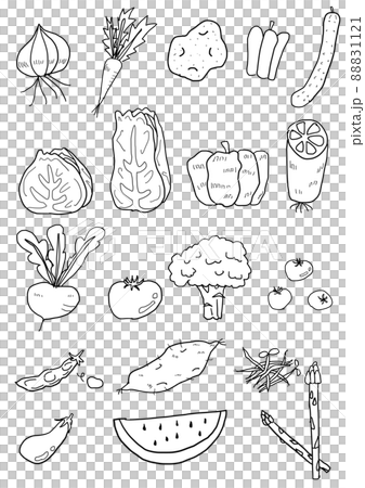 Line drawing set of many vegetables 88831121