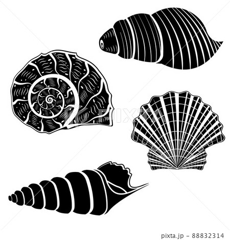 The set is an insulated seashell. Vector illustration, black stencil icon The set is an insulated seashell. Vector illustration, black stencil icon 88832314