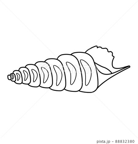 Isolated seashell. Vector illustration of a black contour line, in the style of a doodle 88832380