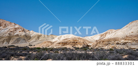 Landscape in the Negev desert near Borot Lotz. 88833301