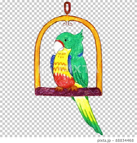 手感柔軟的手繪鳥的插圖 手感柔軟的手繪鳥的插圖 88834468