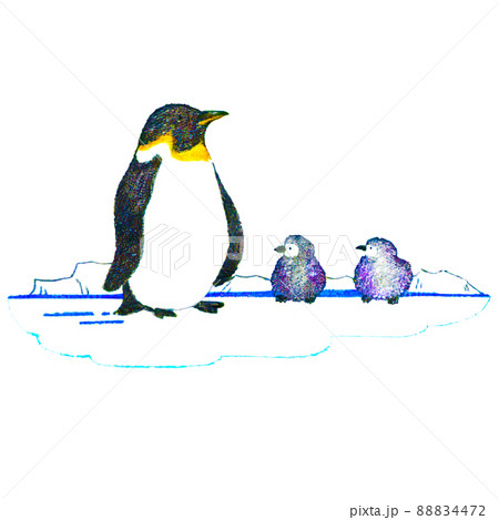 柔らかいタッチの手描き風ペンギンの親子のイラスト 88834472