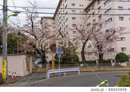 世田谷裏道探訪、瀬田四丁目、岡本下山公園付近 世田谷裏道探訪、瀬田四丁目、岡本下山公園付近 88834948