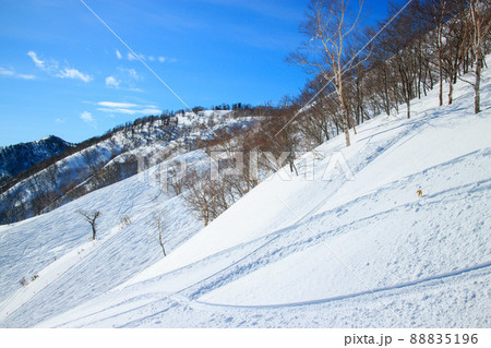雪山 スキー場からの風景 88835196