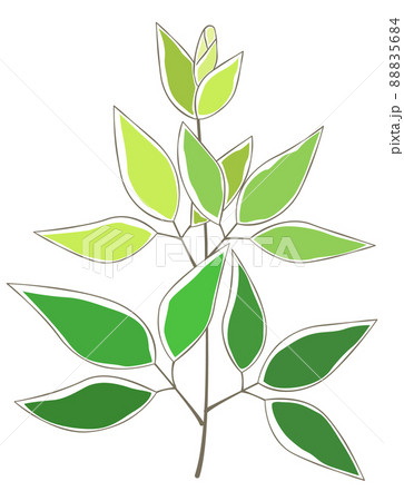 若葉と新芽の手描き風イラストのイラスト素材 5684