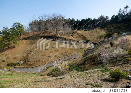 東京都　青梅市　梅の公園 88835733