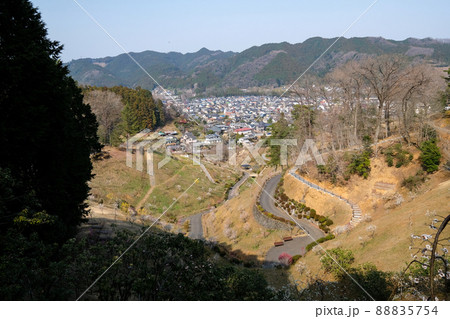 東京都　青梅市　梅の公園 88835754