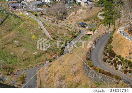 東京都　青梅市　梅の公園 88835756