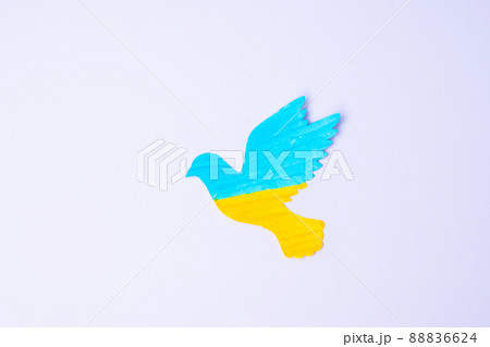 Support for Ukraine in the war with Russia, peace dove with flag of Ukraine. Pray, No war, stop war and stand with Ukraine concepts 88836624