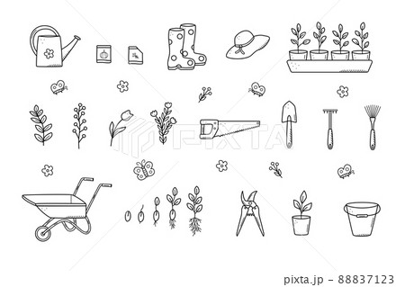 Garden tools and plants, a set of vector doodle illustrations. Concept gardening, a summer hobby 88837123
