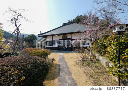 東京都　青梅市　天澤院 88837757