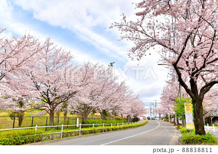 小山馬場通り(東京都町田市)【2022.4】 小山馬場通り(東京都町田市)【2022.4】 88838811
