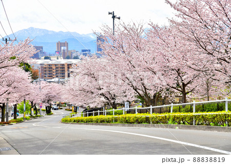 小山馬場通り(東京都町田市)【2022.4】 88838819