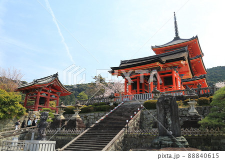 清水寺 桜 【京都市東山区】 清水寺 桜 【京都市東山区】 88840615