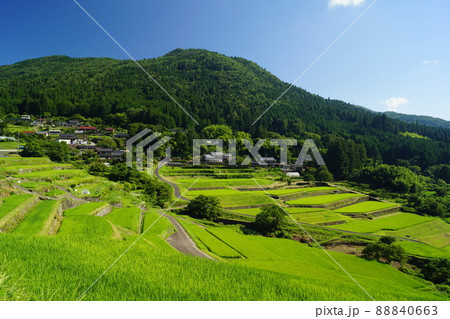 緑の美しい坂折棚田_002 緑の美しい坂折棚田_002 88840663
