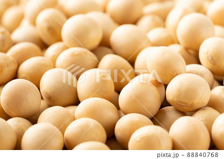 大豆 88840768