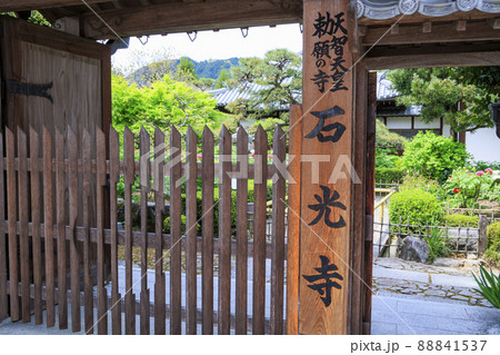 花の御寺石光寺に咲く満開のぼたん 88841537