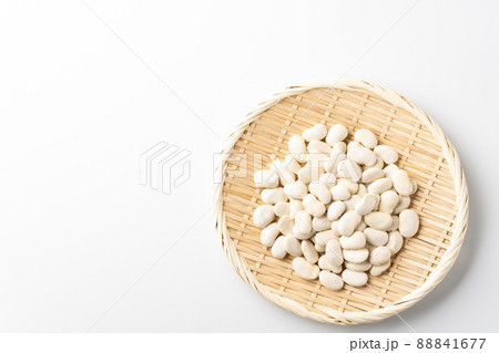 白花豆 88841677