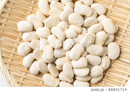 白花豆 白花豆 88841714