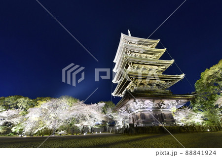 東寺夜景 東寺夜景 88841924