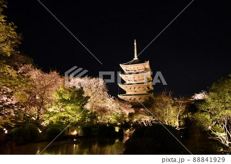 東寺夜景 東寺夜景 88841929