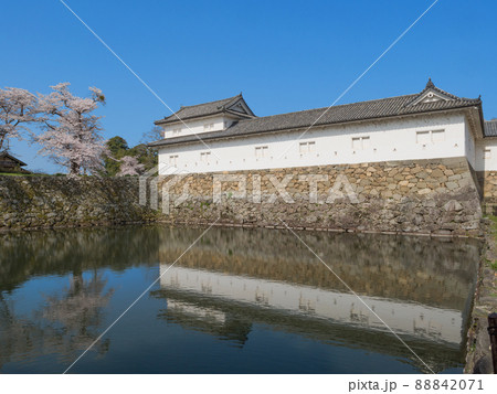 彦根城中堀と佐和口多聞櫓 彦根城中堀と佐和口多聞櫓 88842071