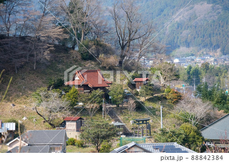 東京都 青梅市 梅の公園から天満宮(菅原神社)方面を望む 東京都 青梅市 梅の公園から天満宮(菅原神社)方面を望む 88842384