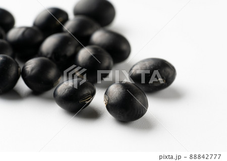 黒豆 88842777