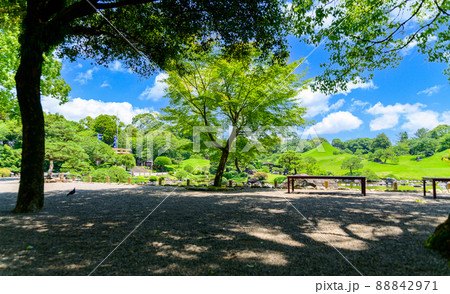 日本庭園「新緑の庭園風景」観光名所 水前寺成趣園 日本・九州・熊本県 日本庭園「新緑の庭園風景」観光名所 水前寺成趣園 日本・九州・熊本県 88842971