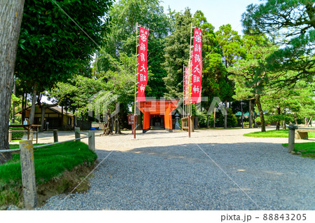 稲荷神社「新緑の庭園風景」観光名所　水前寺成趣園　日本・九州・熊本県 88843205