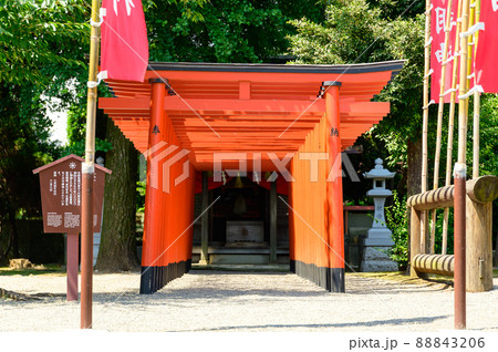 稲荷神社「新緑の庭園風景」観光名所　水前寺成趣園　日本・九州・熊本県 88843206