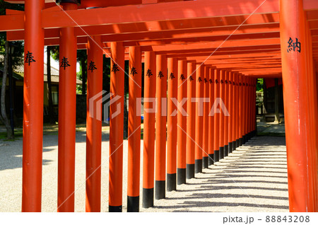 稲荷神社「新緑の庭園風景」観光名所 水前寺成趣園 日本・九州・熊本県 稲荷神社「新緑の庭園風景」観光名所 水前寺成趣園 日本・九州・熊本県 88843208