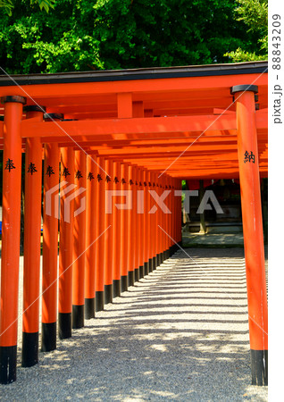 稲荷神社「新緑の庭園風景」観光名所　水前寺成趣園　日本・九州・熊本県 88843209