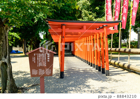 稲荷神社「新緑の庭園風景」観光名所 水前寺成趣園 日本・九州・熊本県 稲荷神社「新緑の庭園風景」観光名所 水前寺成趣園 日本・九州・熊本県 88843210