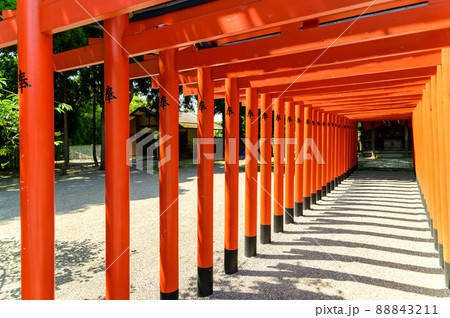 稲荷神社「新緑の庭園風景」観光名所 水前寺成趣園 日本・九州・熊本県 稲荷神社「新緑の庭園風景」観光名所 水前寺成趣園 日本・九州・熊本県 88843211