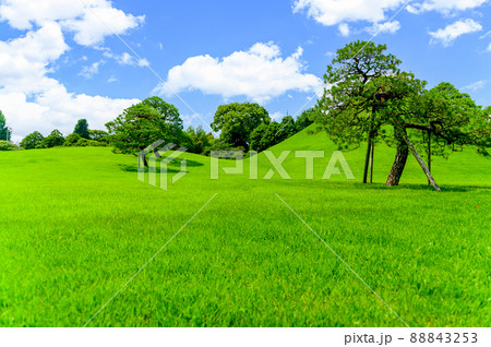 日本庭園「新緑の庭園風景」観光名所 水前寺成趣園 日本・九州・熊本県 日本庭園「新緑の庭園風景」観光名所 水前寺成趣園 日本・九州・熊本県 88843253