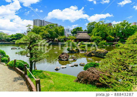 日本庭園「新緑の庭園風景」観光名所　水前寺成趣園　日本・九州・熊本県 88843287