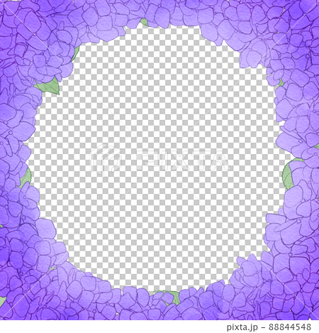 Background material_watercolor style_hydrangea 88844548