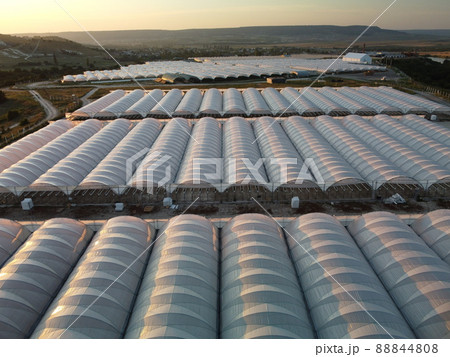 Aerial drone view of huge areas greenhouse for growing vegetables. Greenhouse farming, agriculture industry. Flying over large industrial greenhouses at sunset. 88844808