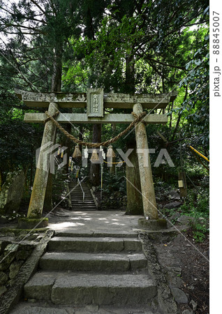金持神社より 金持神社より 88845007