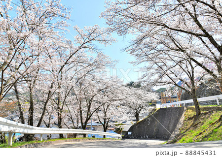 別所温泉 温泉街/常楽寺付近(長野県上田市)【2022.4】 別所温泉 温泉街/常楽寺付近(長野県上田市)【2022.4】 88845431